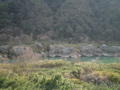 木曽川ライン風景3