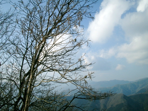 天気には
