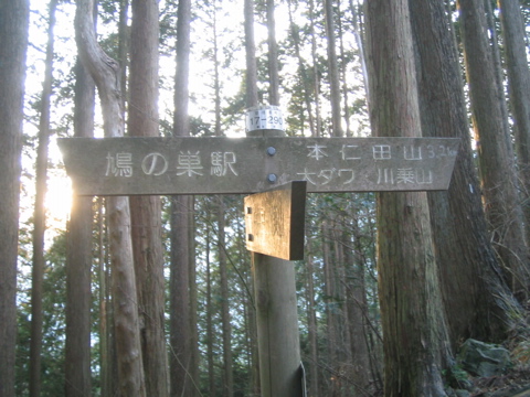 大根山の神の分岐