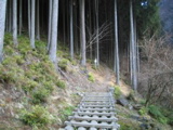 登山道へ