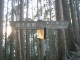 大根山の神の分岐