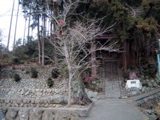 熊野神社